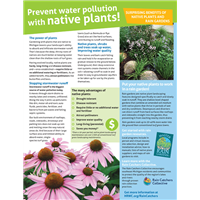 HRWC Native Plants Flyer